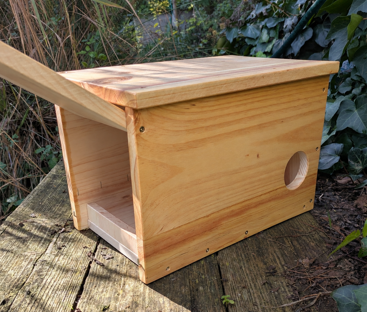 Caja nido para cernícalo primilla