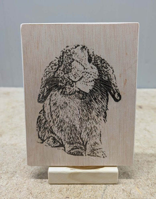 Retratos a láser - Los Nidos de David