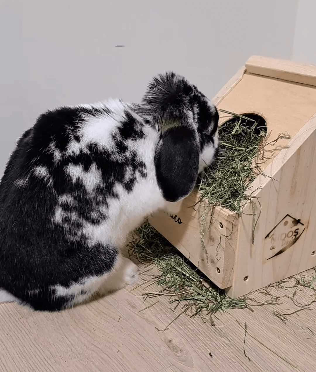 Henera sin bandeja - Los Nidos de David