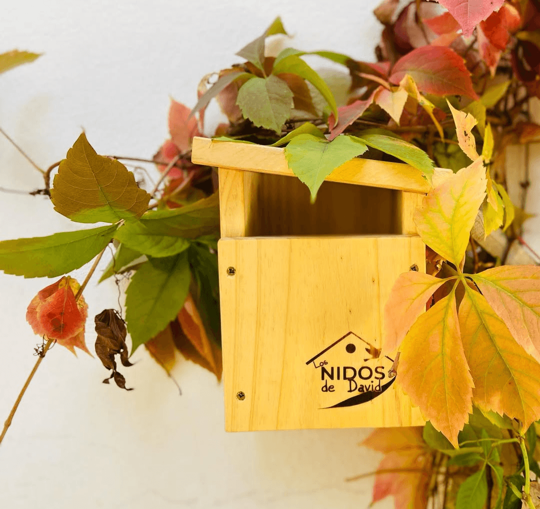 Caja nido básica con frontal abierto para petirrojo y otras pequeñas aves - Los Nidos de David
