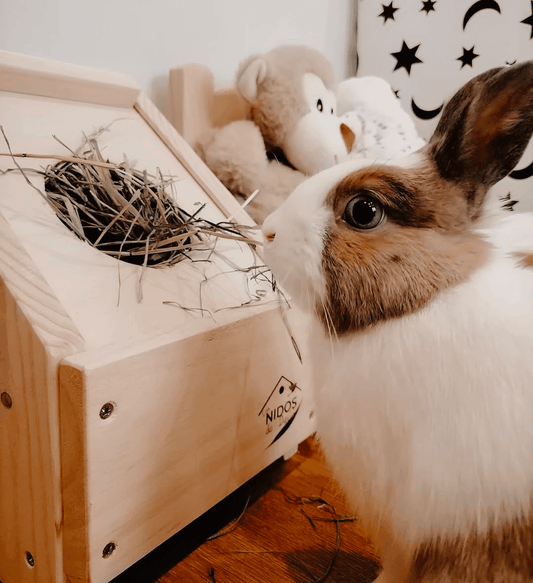 Henera sin bandeja - Los Nidos de David