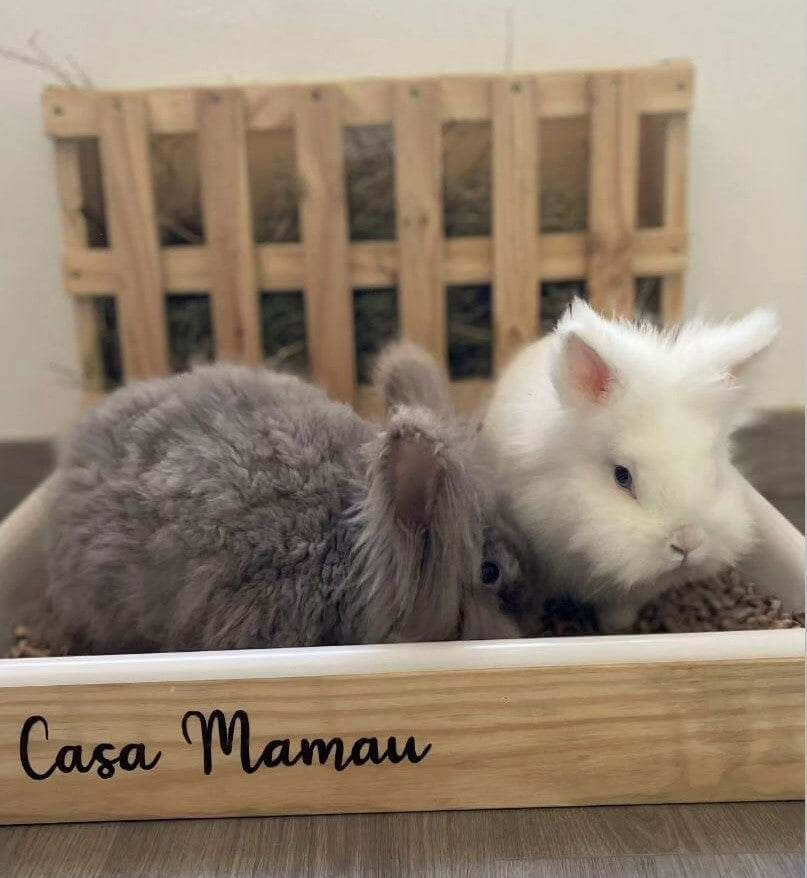 Henera para conejos (tallas S a XL) - Los Nidos de David