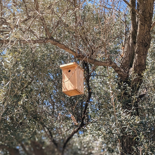 Cómo instalar una caja nido para aves