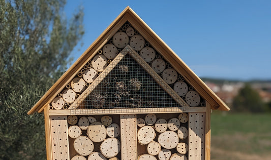 ¿Dónde colocar un hotel de insectos para que funcione de verdad? (Guía completa)