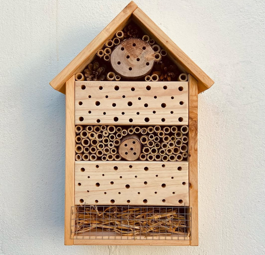 Hotel de insectos: para qué sirve y cuáles son sus beneficios