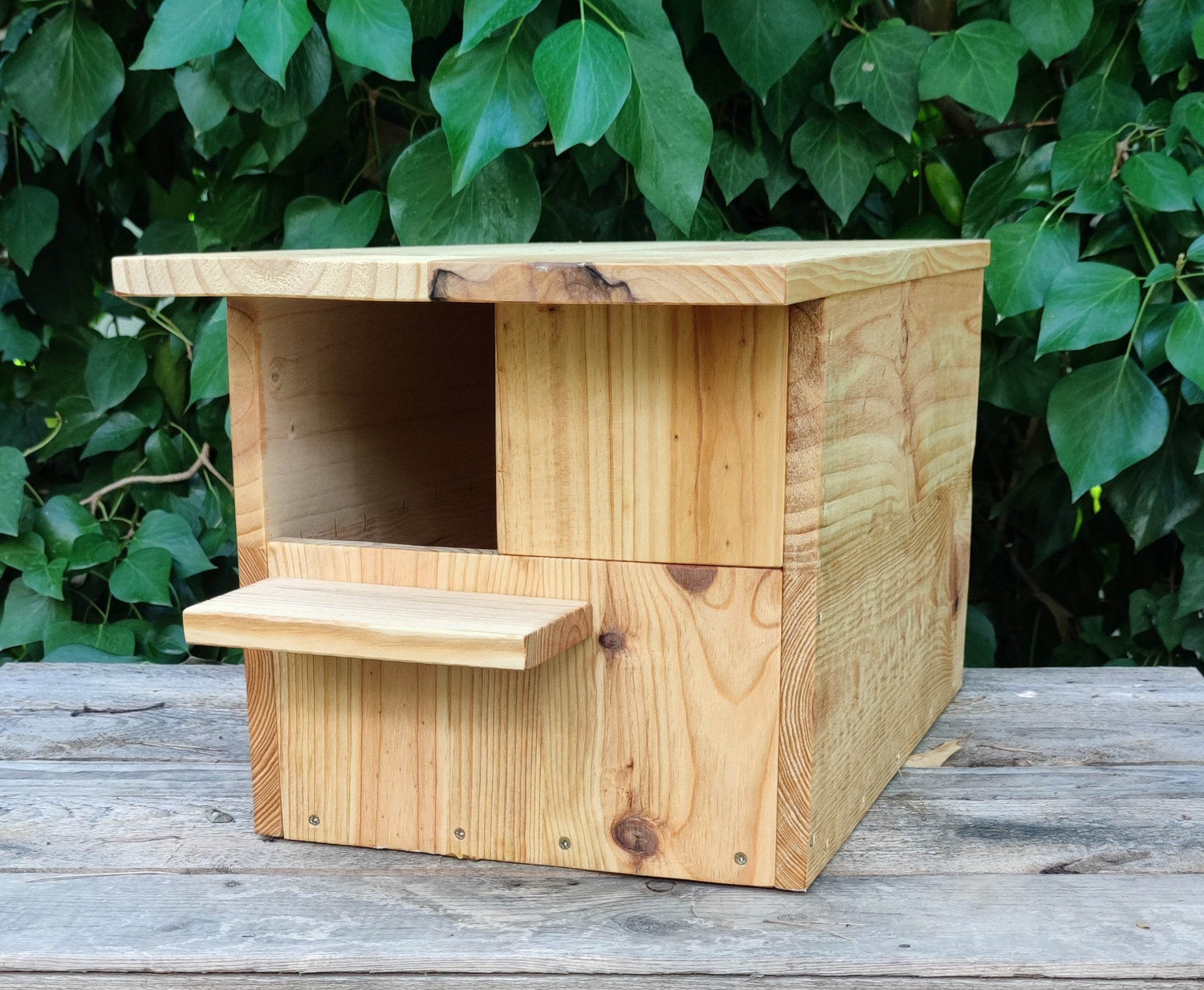 Cajas nido para pequeñas rapaces - Los Nidos de David