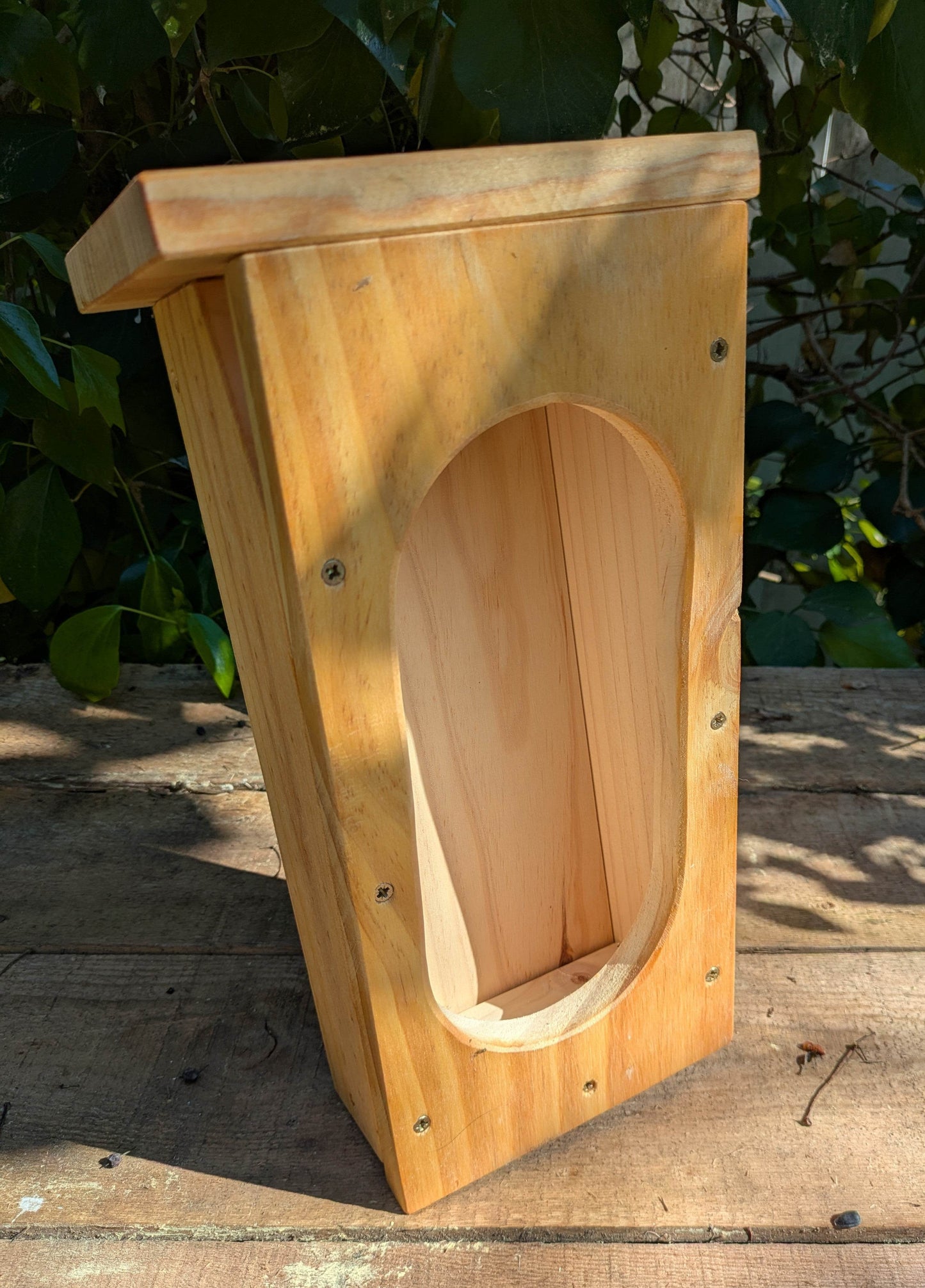 Caja nido para agateador común - Los Nidos de David