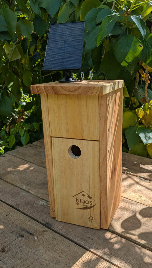 Caja nido para páridos con cámara Wifi - Los Nidos de David