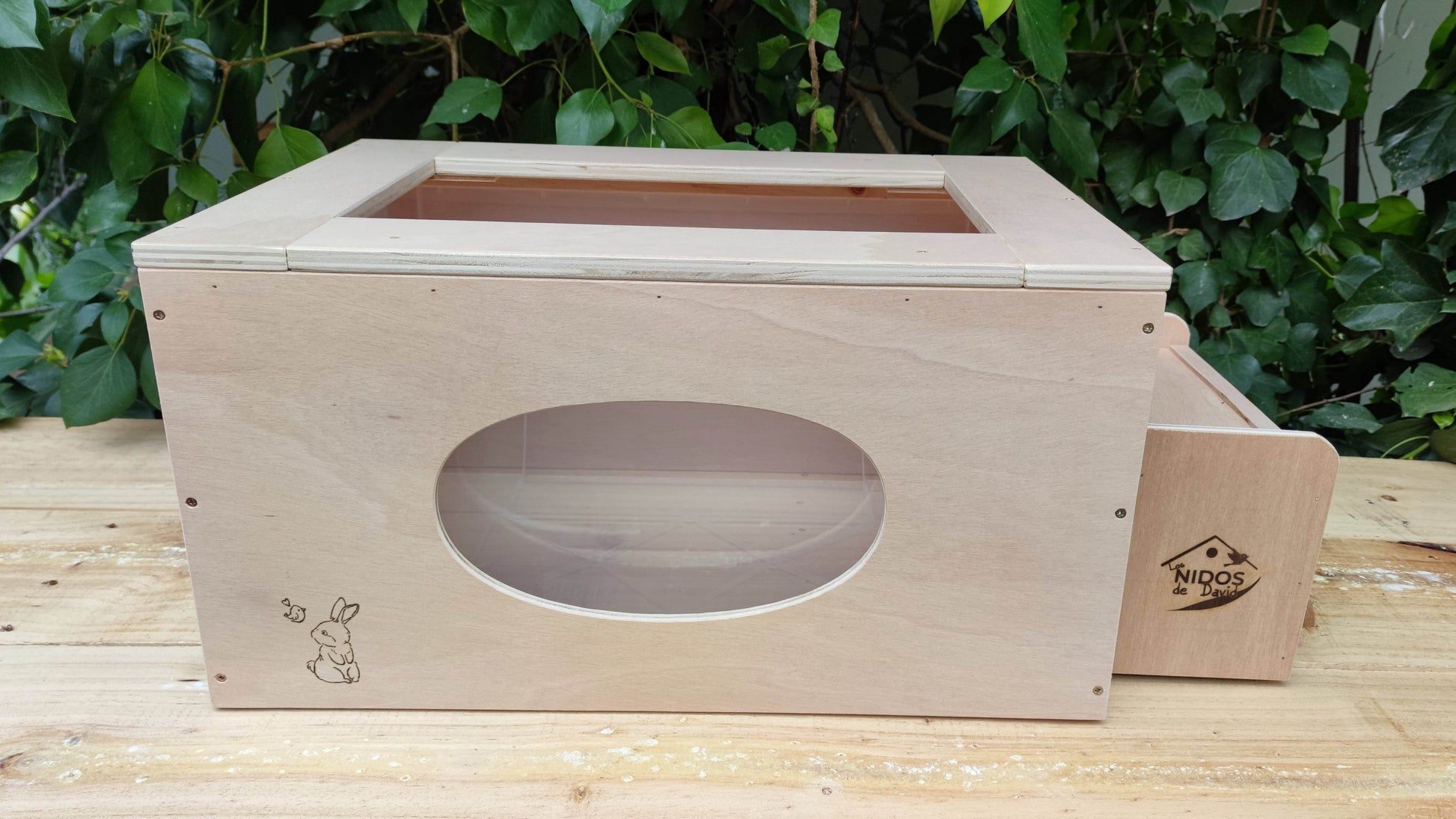 Caja de excavación - Los Nidos de David