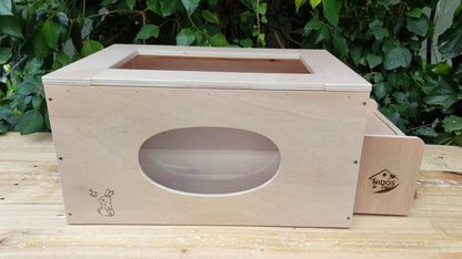 Caja de excavación - Los Nidos de David