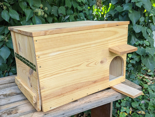 Caja nido para lechuza común - Los Nidos de David