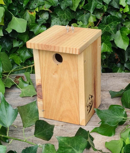 Caja nido artesanal para páridos en madera natural sin tratar