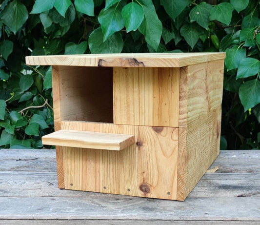 Caja nido para cernícalo vulgar modelo Kestrel de madera