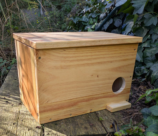 Caja nido para cernícalo primilla