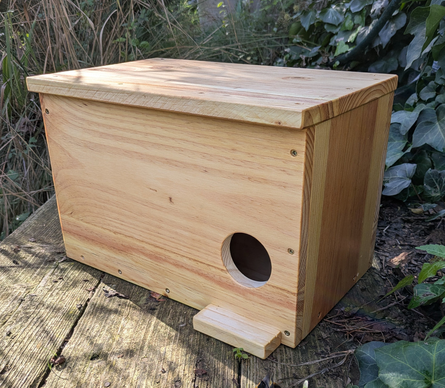 Caja nido para cernícalo primilla