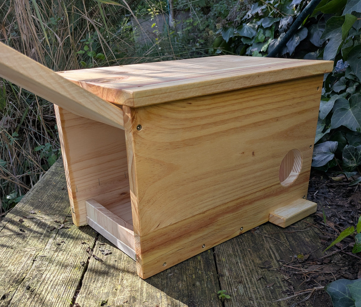 Caja nido para cernícalo primilla