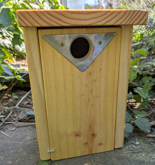 Caja nido para páridos con placa antipícidos