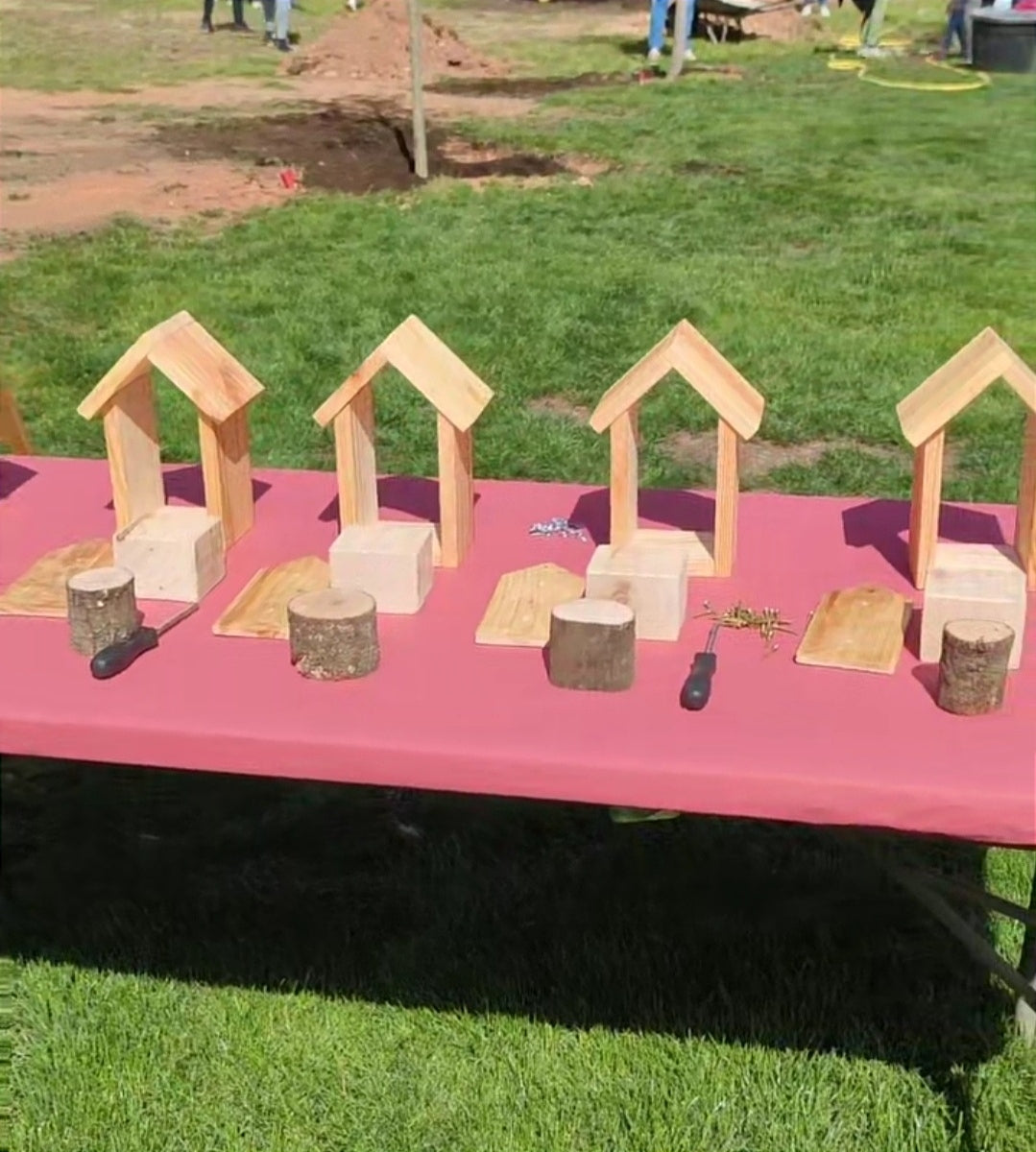 Kit de hoteles de insectos para taller de educación ambiental