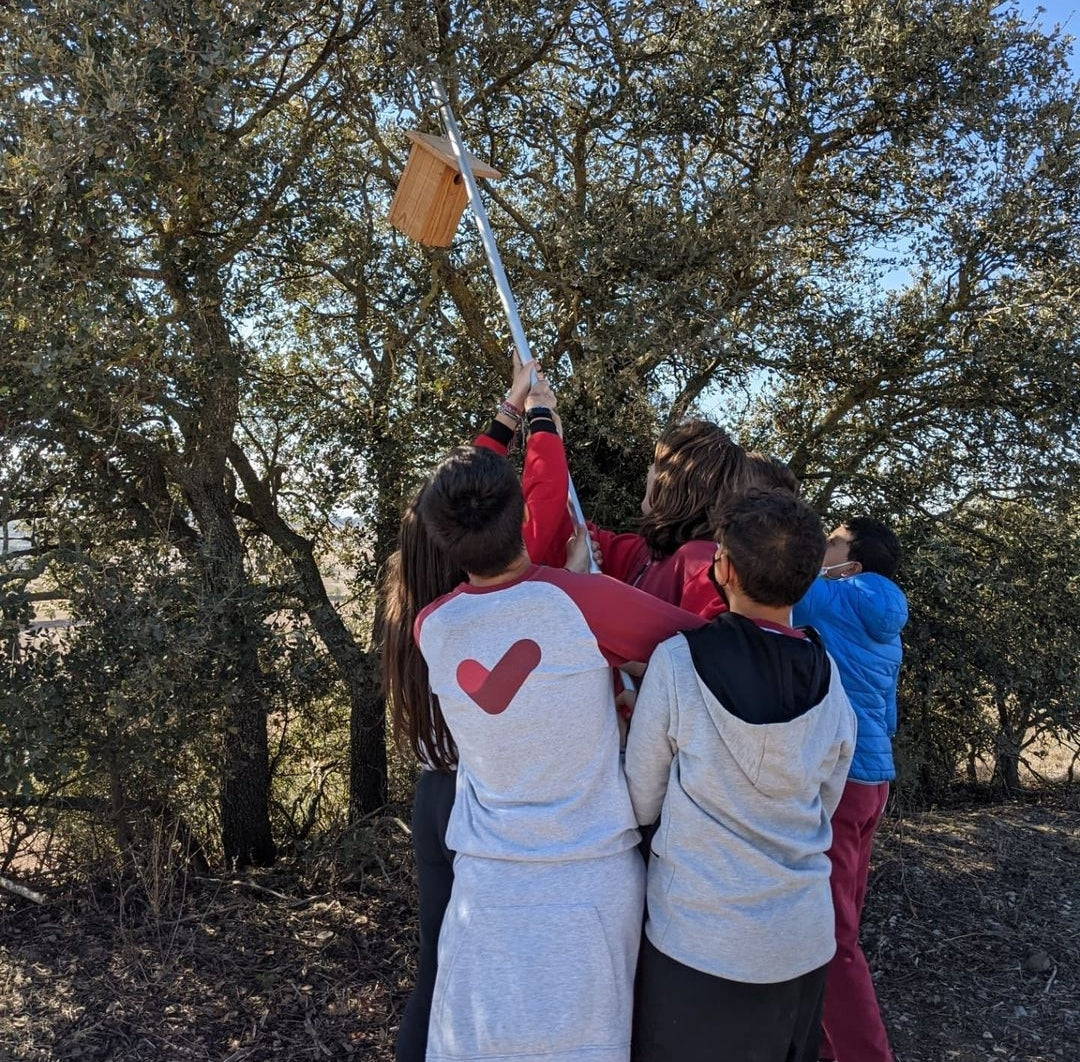 instalación de cajas nido en taller ambiental