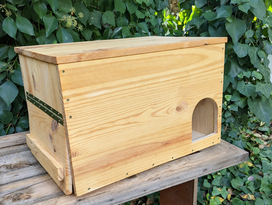 Caja nido para lechuza común