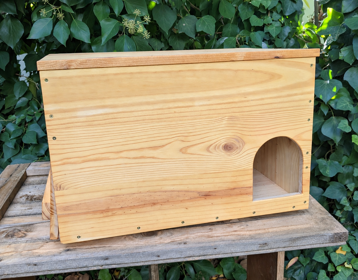 Nest box for barn owl 