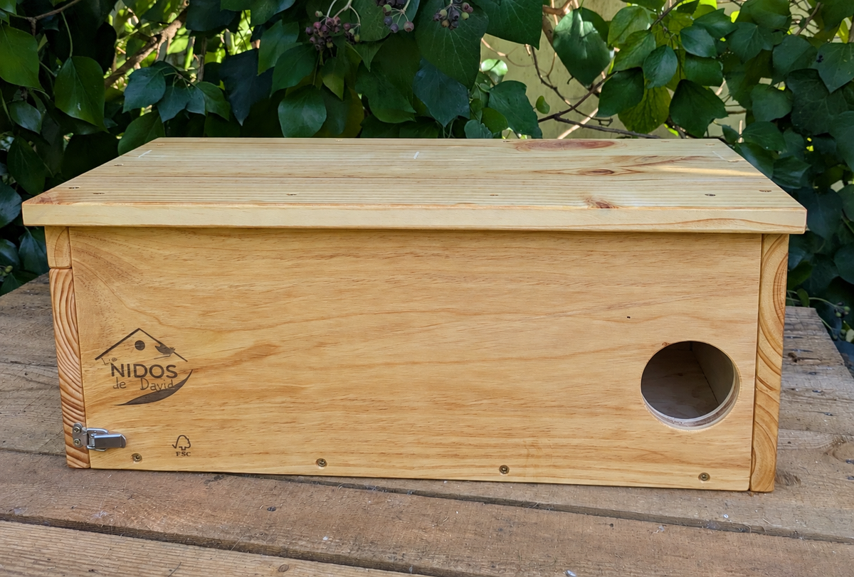 Nest box for a common owl 