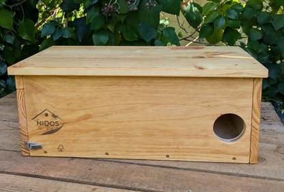 Nest box for a common owl 