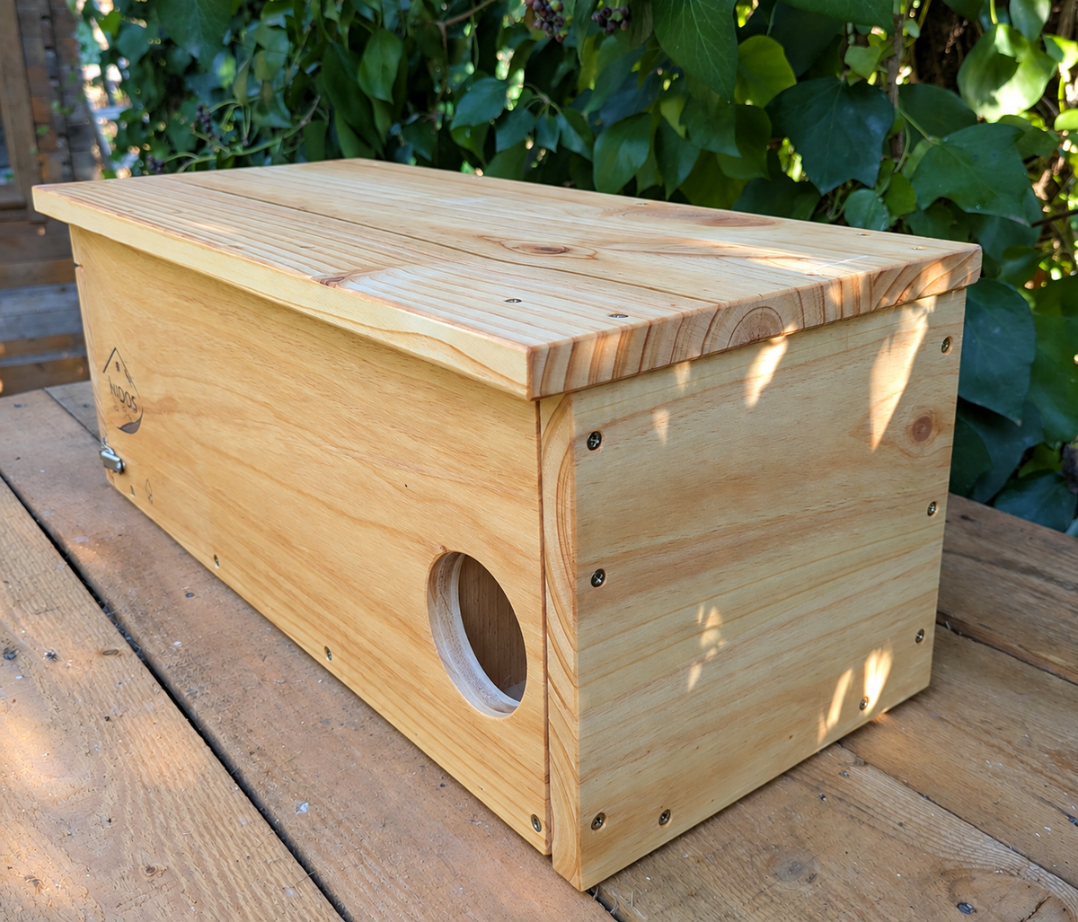 Nest box for a common owl 