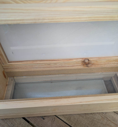 Colmena de observación para abejas melíferas - Los Nidos de David