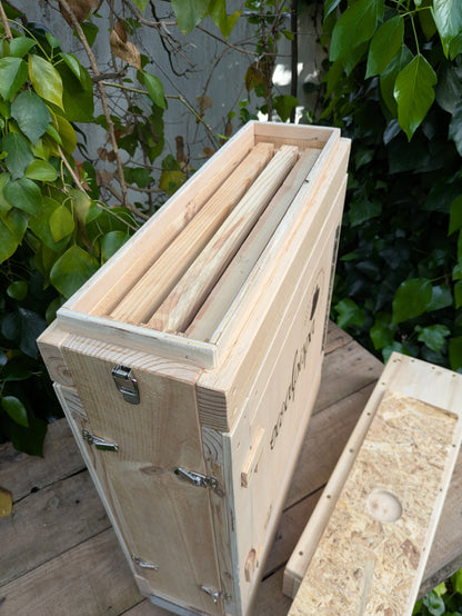 Ruche d'observation pour abeilles
