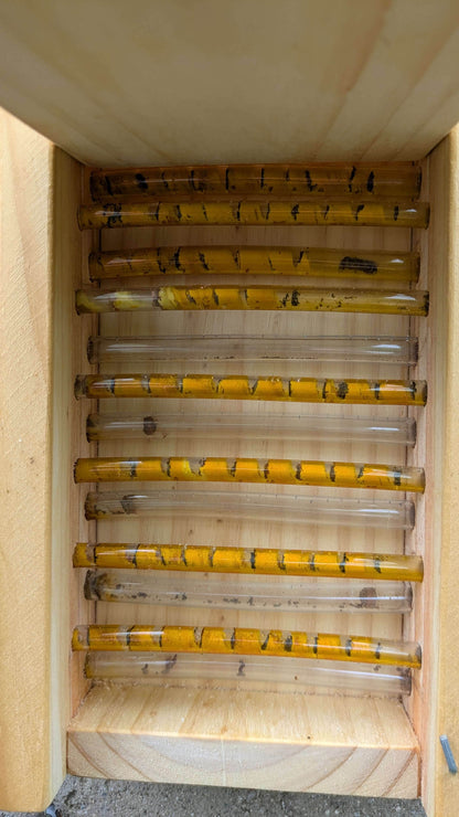 Hotel de observación para abejas solitarias - Los Nidos de David