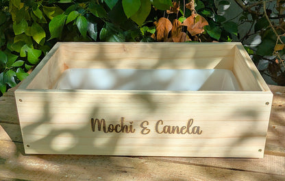 Caja de excavación modelo Dig & Fun