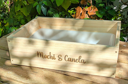 Caja de excavación modelo Dig & Fun