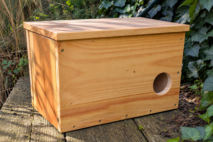 Caja nido para cernícalo primilla
