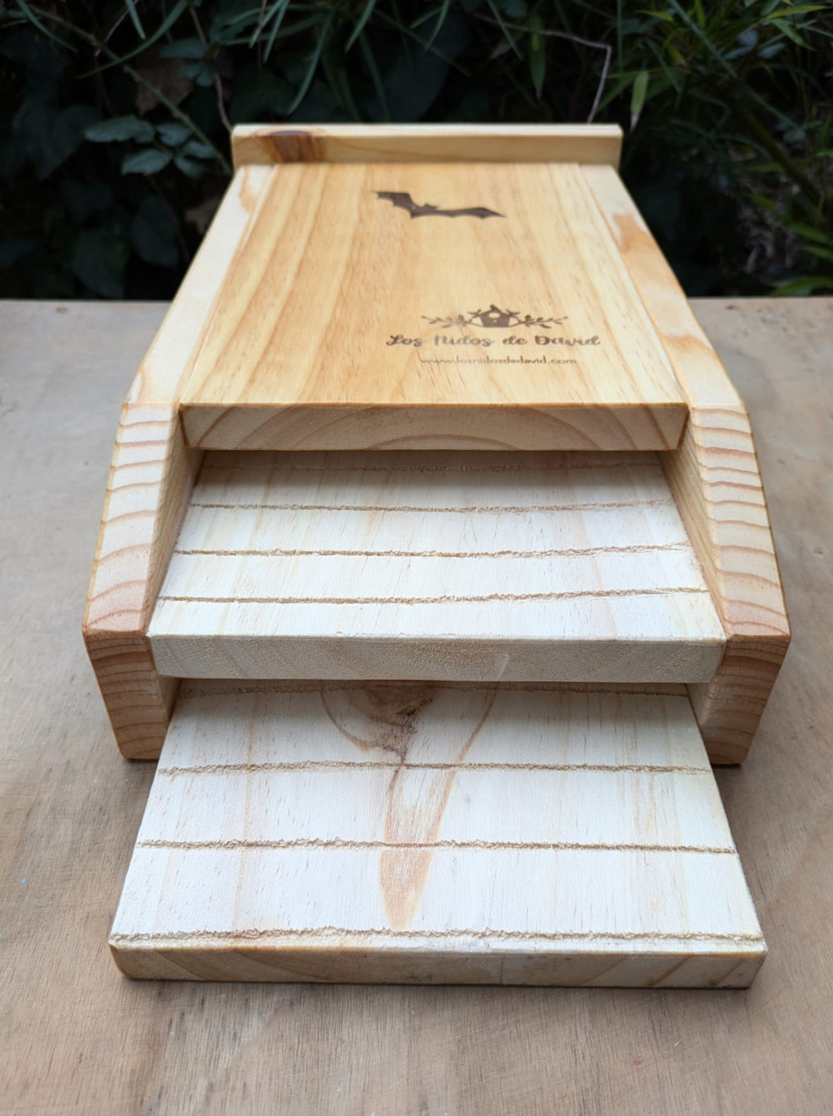 Interior de caja refugio para murciélagos con dos cámaras comunicadas y superficies de madera ranuradas para facilitar el agarre.
