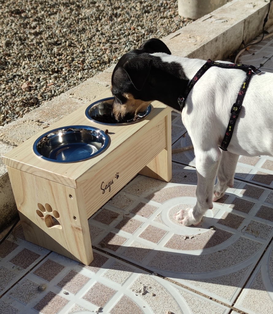 Comedero para perros