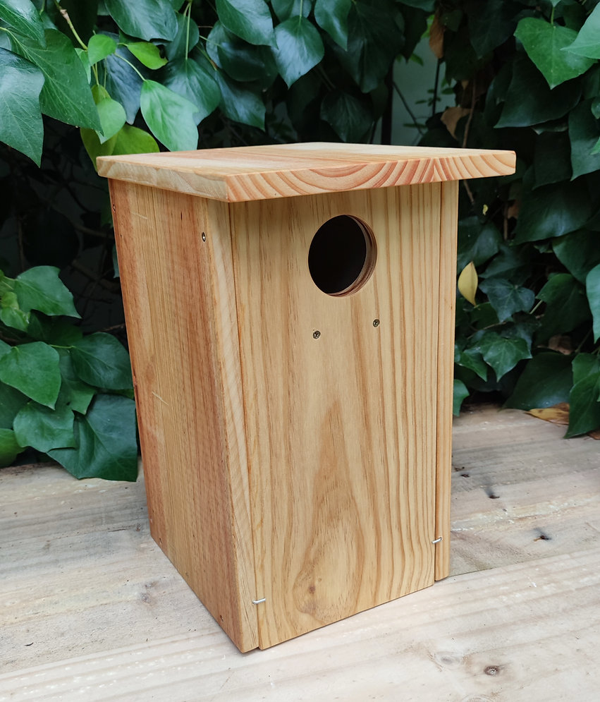 Caja nido para carraca europea