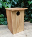 Caja nido para carraca europea