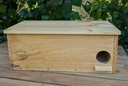 Caja nido para mochuelo común