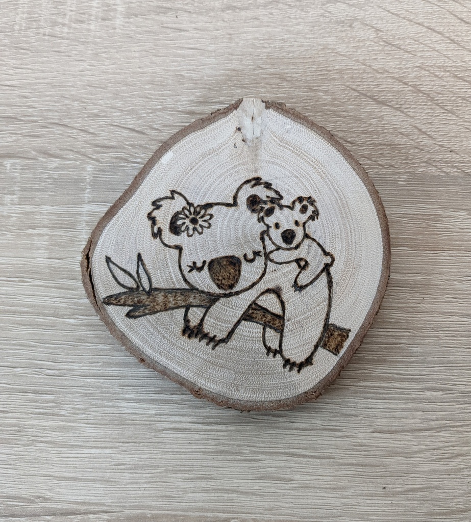 Posavasos Koalas