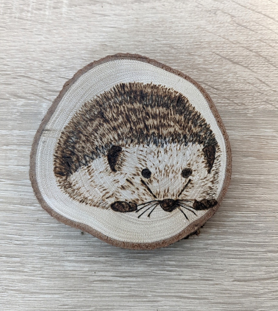 Posavasos erizo