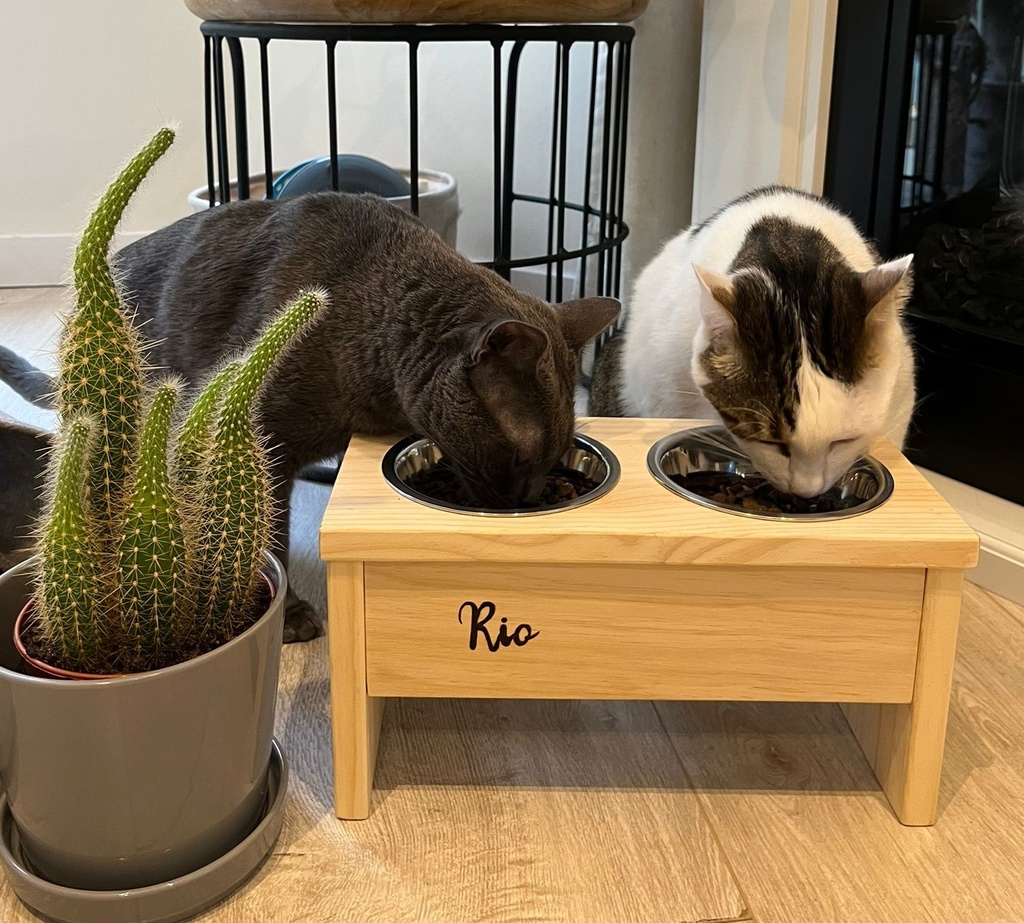 Comedero elevado para gatos